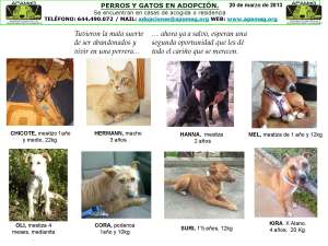 Cartel1 18_05_13_P+ígina_2