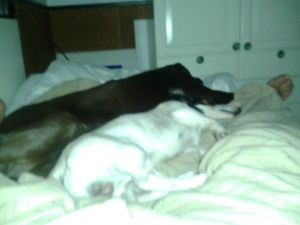 1044094_270620689742478_1369888524_n