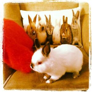 64335_10152687682735444_2125933975_n