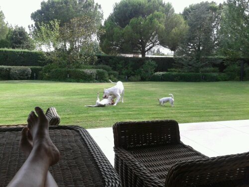 20130802_175832.jpg image