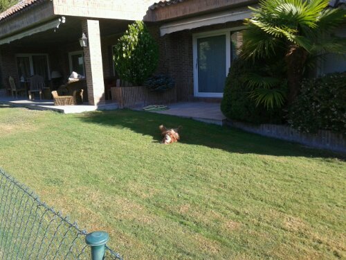 20130805_093130.jpg image