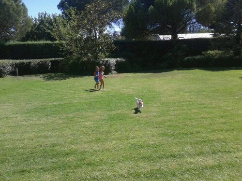 20130805_164613.jpg image