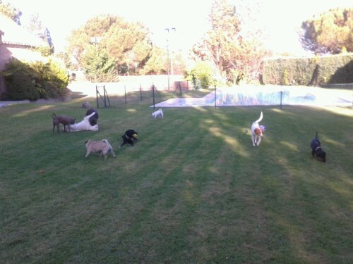 20130805_192043.jpg image