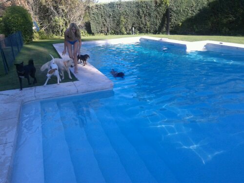 20130805_193806.jpg image