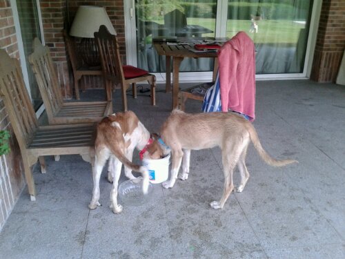 20130815_090528.jpg image