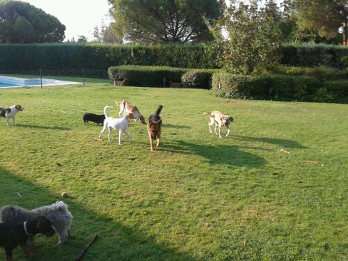 20130815_090605.jpg image