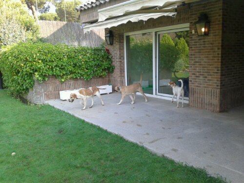 20130815_092337.jpg image