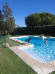 1147909_10153117908255314_690114896_n