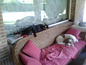 1186624_10153159764390314_1554584212_o