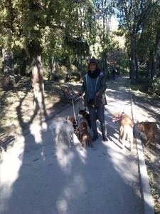 1465009_10153632384740314_1088543237_n