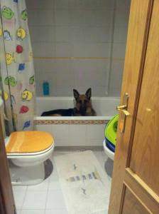 999129_10153198627025314_1476190438_n