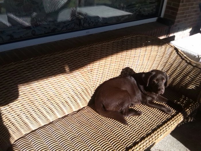 IMG_20131229_150358.jpg image