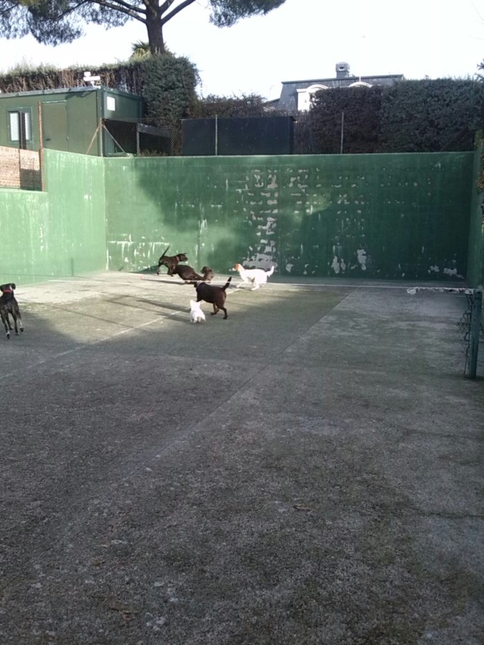 IMG_20131230_104825.jpg image