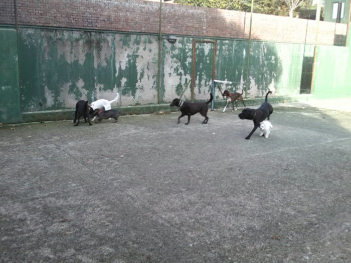 IMG_20131230_104828.jpg image