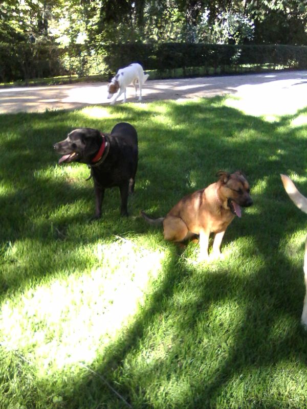 wp-1399369677785 image