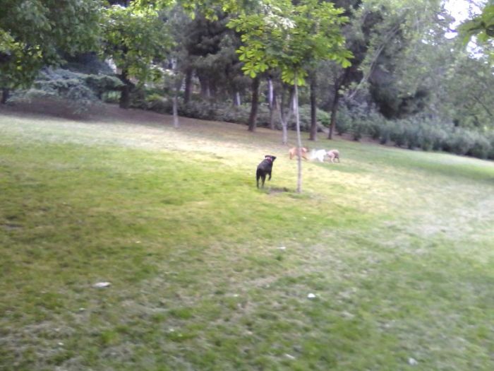 wp-1399369679738 image