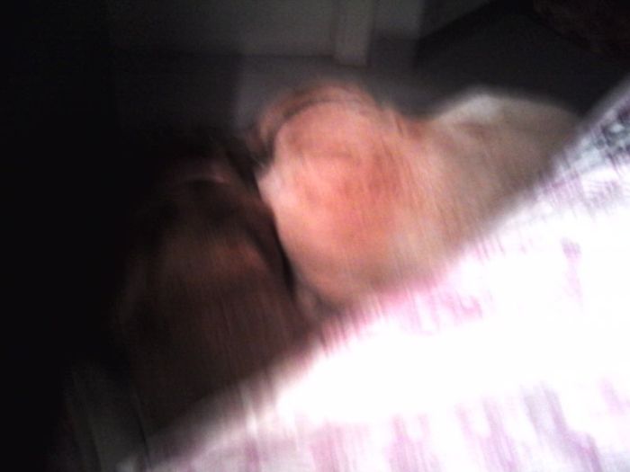 wp-1399369681132 image