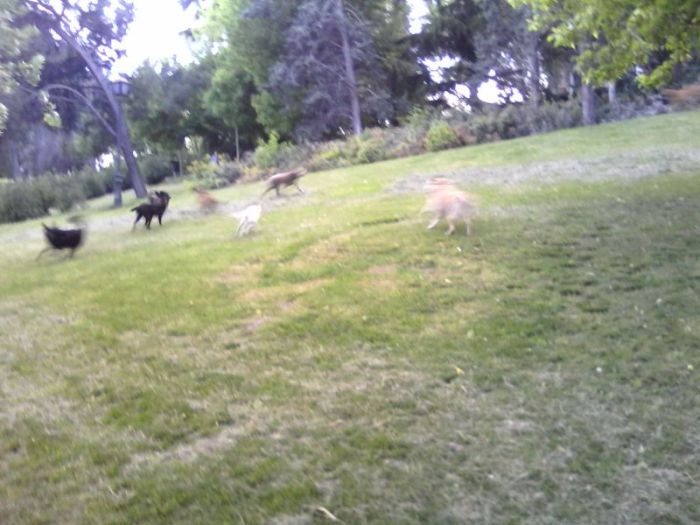 wp-1399369682547 image