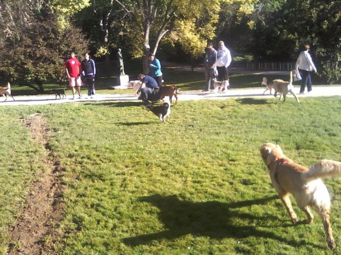 wp-1399369683053 image