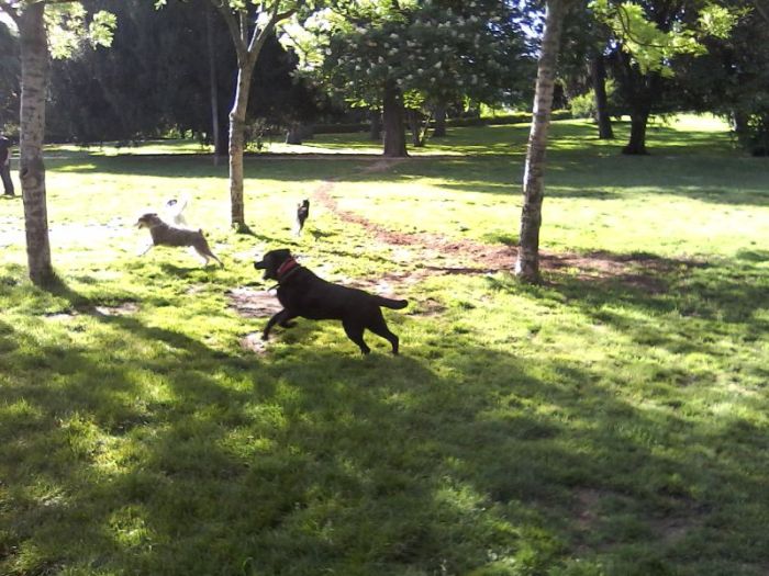 wp-1399369683350 image