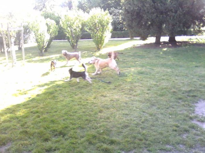 wp-1399369683580 image