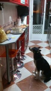 10923280_891613580904563_3997359944784479843_n