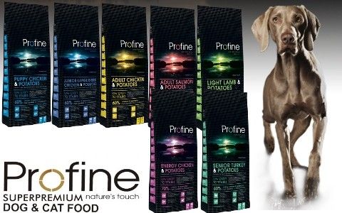 profine_dog_banner-480x300